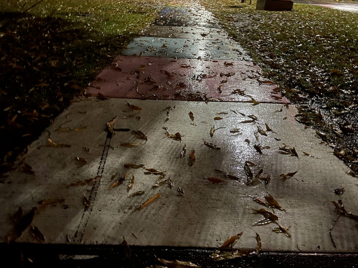 A sidewalk in Pride colors, with the trans pink, white, and light blue closest, obscured by rain, fallen leaves, and darkness.