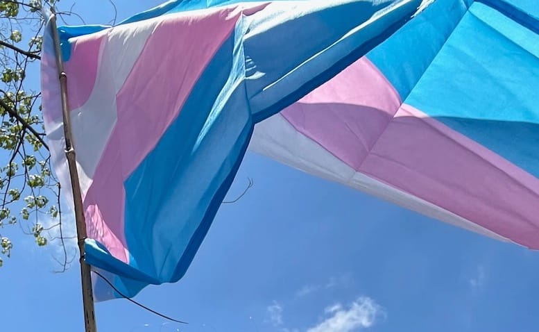 A picture of a trans flag, fold creases and all, flying in a breeze on a sunny day.