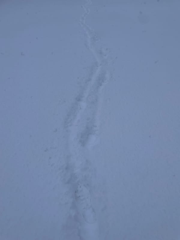 A trail of footprints leading forward through a snow-covered ground, into the distance.