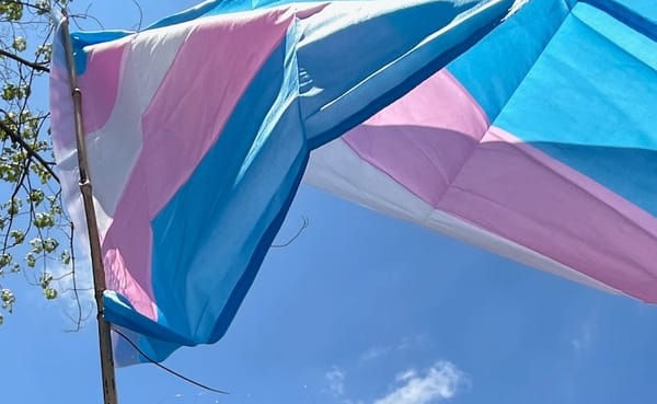 A picture of a trans flag, fold creases and all, flying in a breeze on a sunny day.